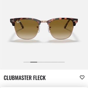 RayBan Clubmaster Sunglasses
